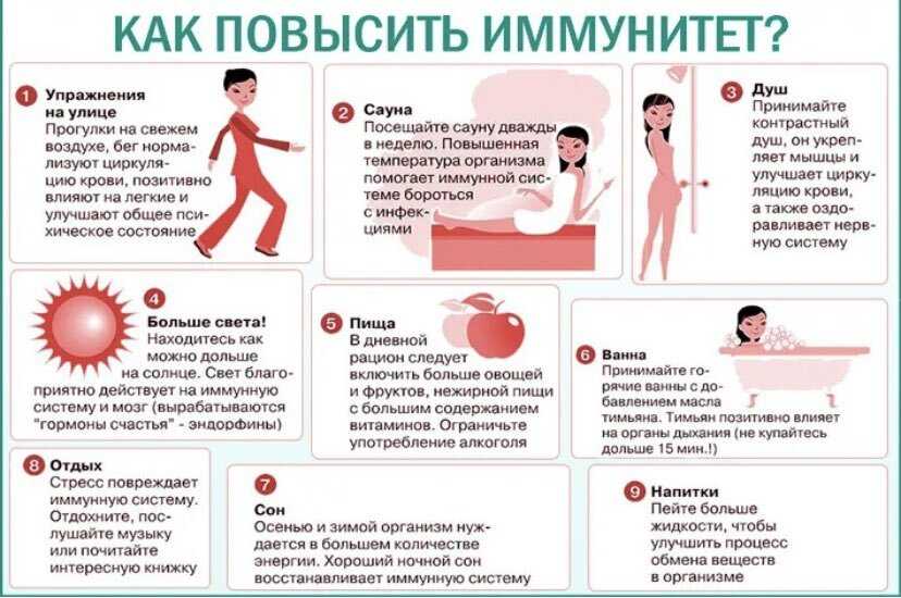 Как поднять иммунитет собаке и кошке: иммунная система животных