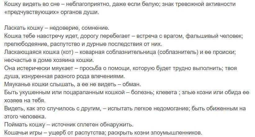 Сон видеть мужа беременным. К чему снится кошка во сне. Кошки во сне к чему снится женщине. К чему снится коты во сне для женщины. Сонник кошка.