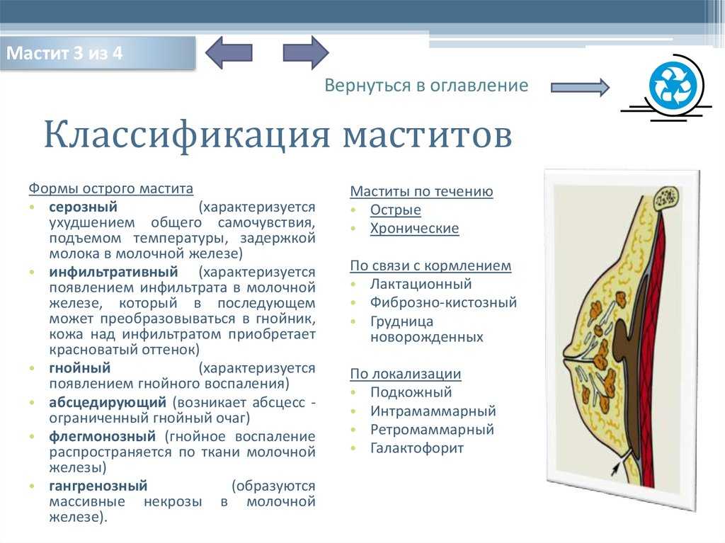 Мастопатия у кошек