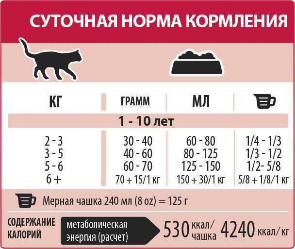 Чем кормить щенка: как, сколько раз в день нужно, лучшие витамины и рацион питания для 1, 2 месяцев. подробно о сухом корме (как правильно и нужно ли размачивать)