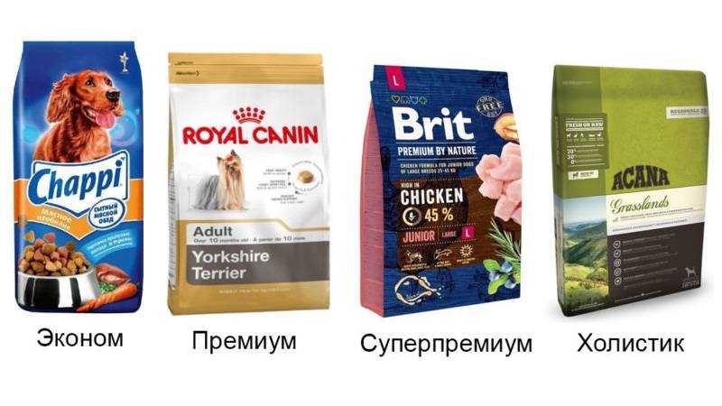 Выберите какой корм лучше для щенков узнайте как правильно подбирать корм для щенков Вся информация предоставлена экспертами