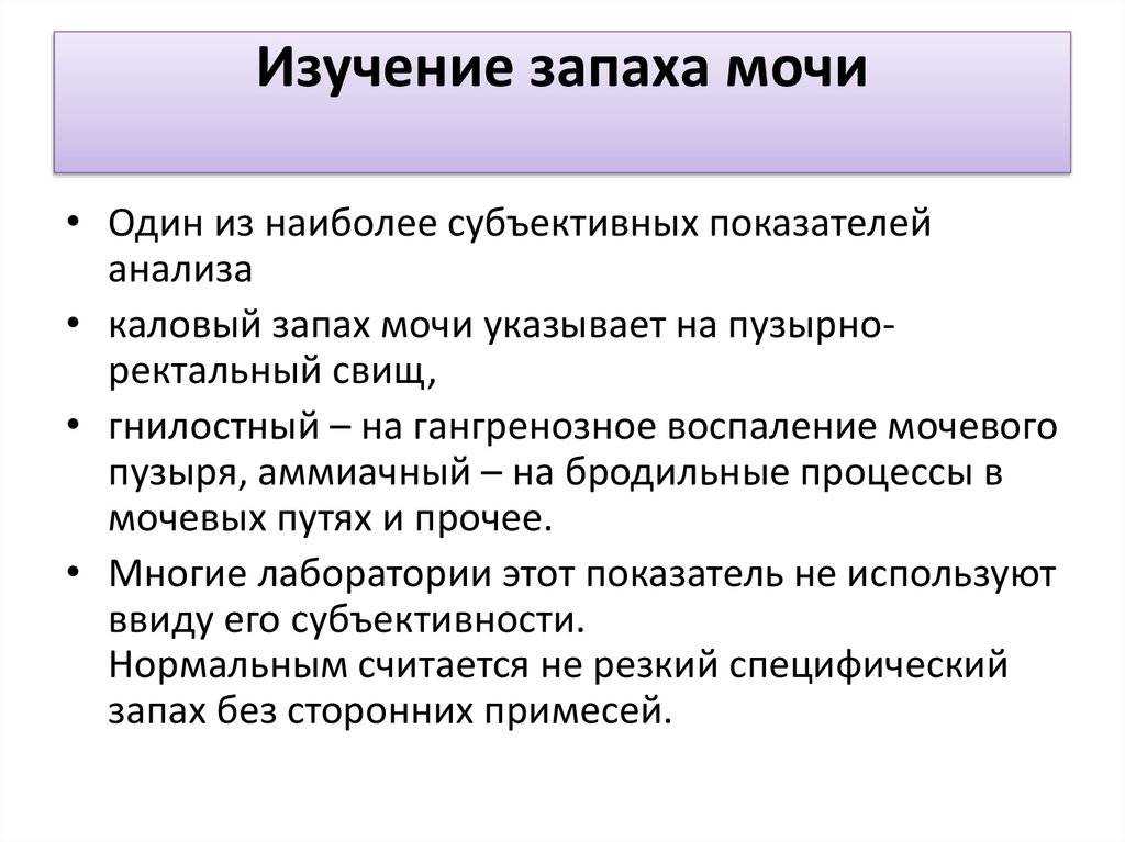 Неприятный запах от кошки: причины возникновения и методы устранения запаха | звери дома