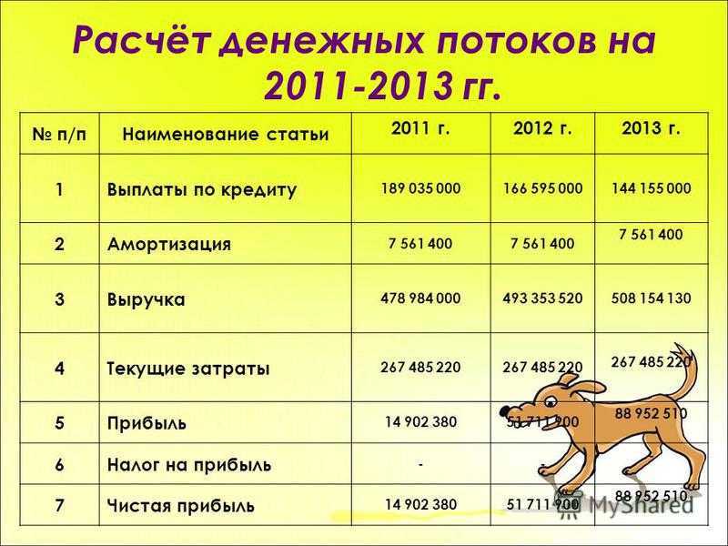 Питомник для собак: руководство по открытию