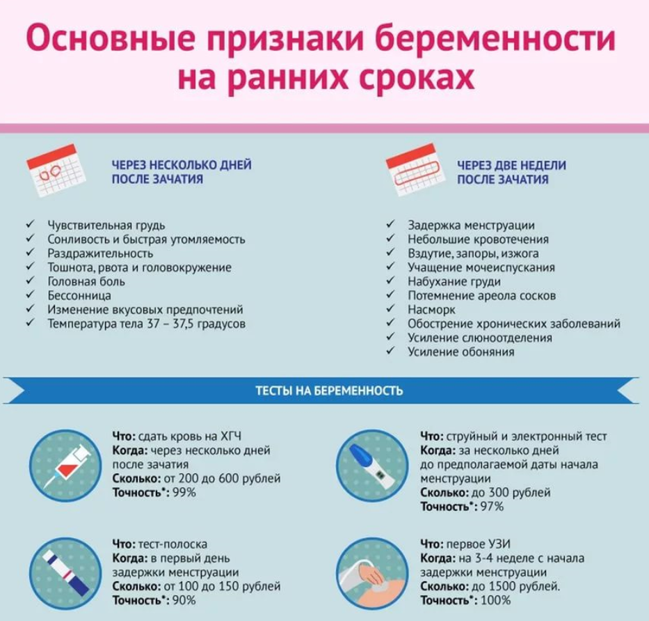 Беременность кошки: что необходимо знать хозяину — domovod.guru