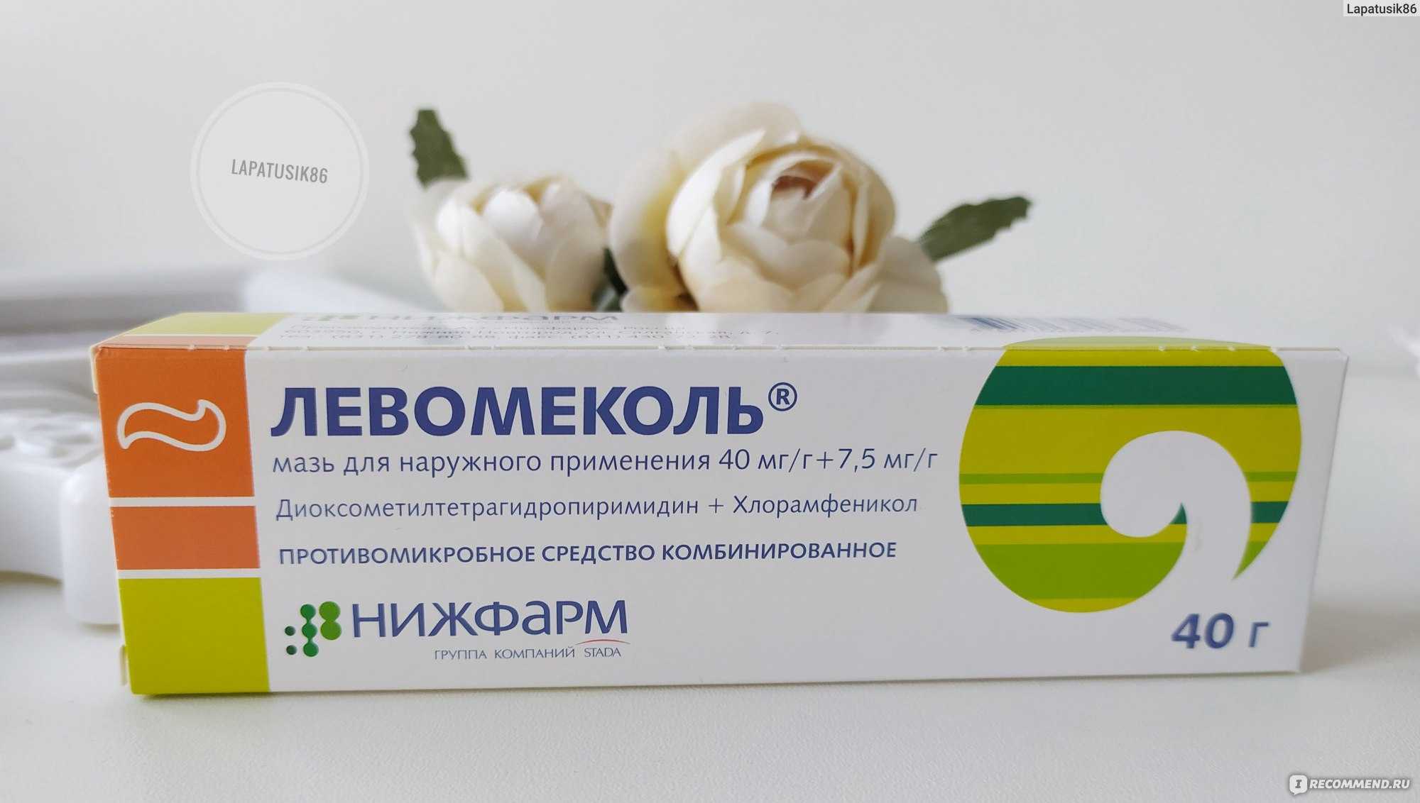 Можно ли левомеколь кошкам?