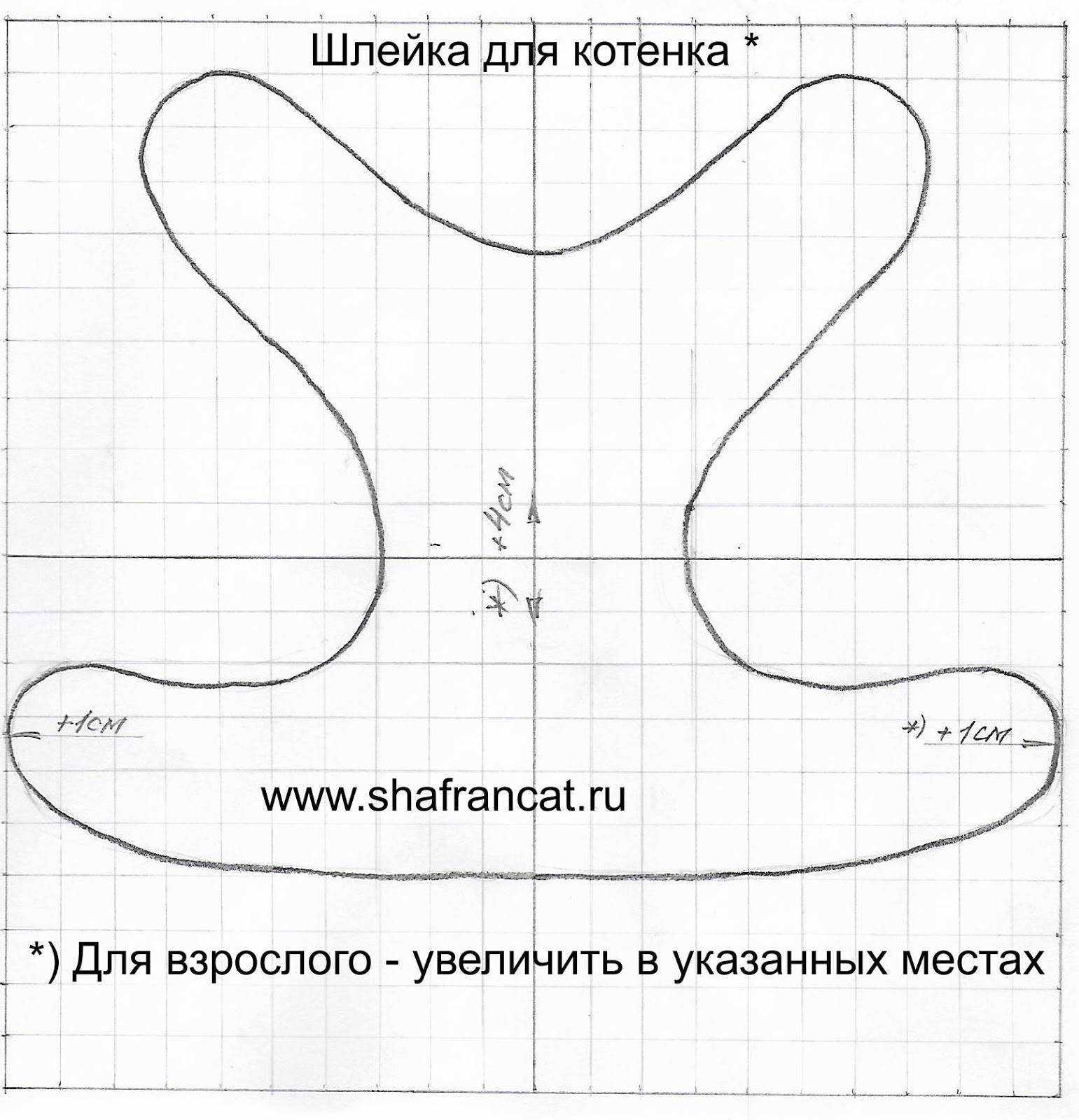 Шлейка для кошки: как выбрать и надеть, сделать своими руками, видео