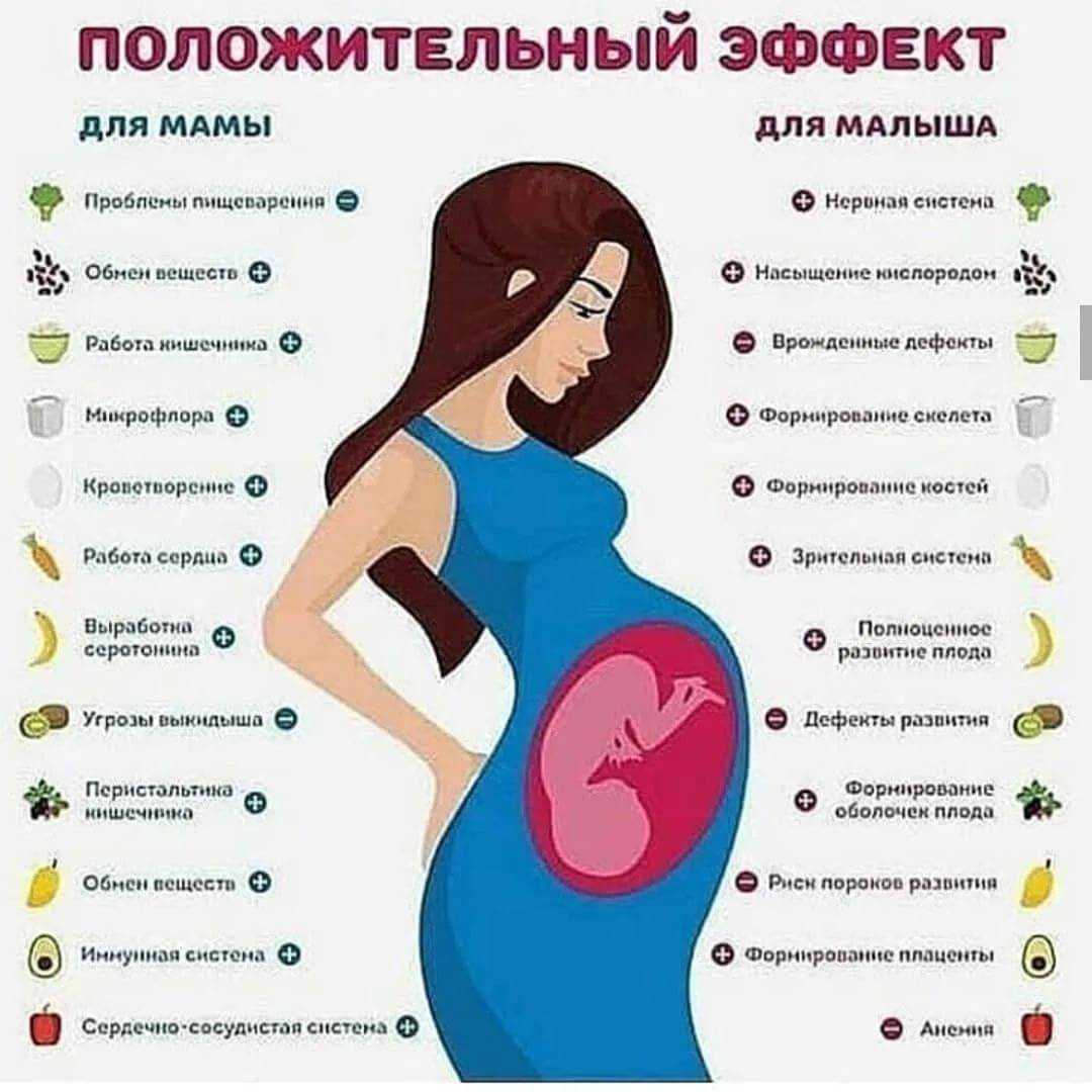 Как убирать лоток за кошкой беременной