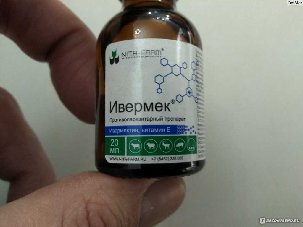 Препарат ивермек для животных
