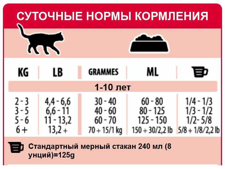 Как правильно кормить кошку сухим кормом и полезно ли это