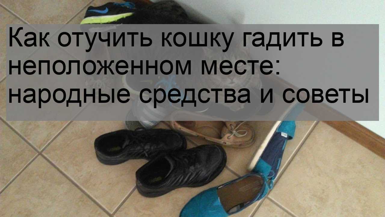 Кот метит после кастрации - что делать?