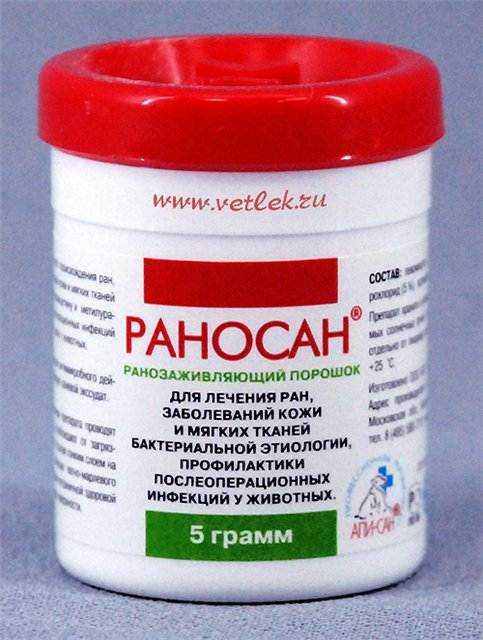 Мокнущая рана у кошки: разновидности, диагностика, терапия | ваши питомцы