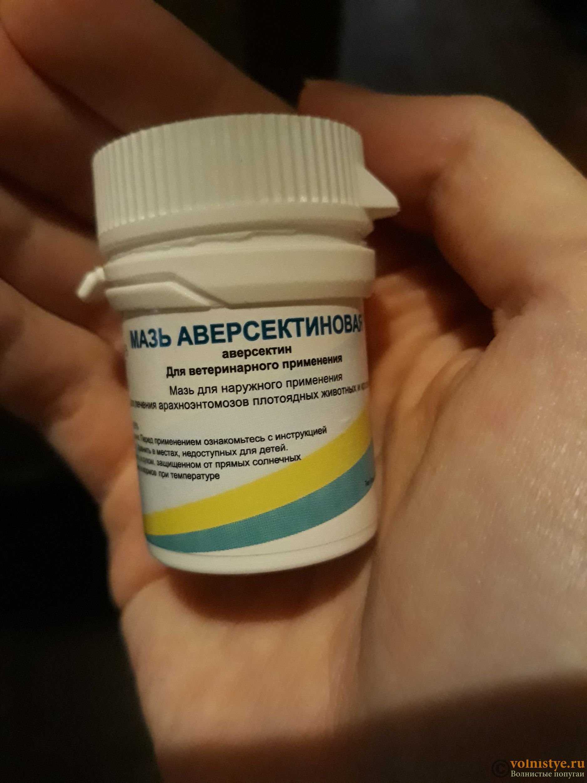 Аверсектиновая мазь – инструкция по применению для животных и птиц