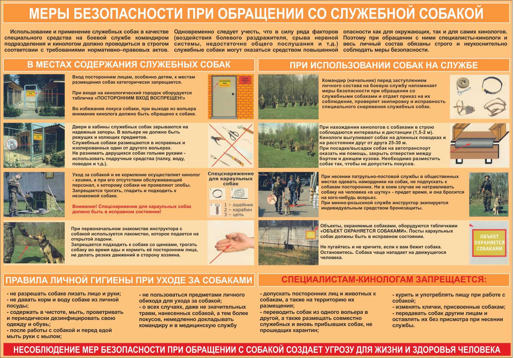 Собаки-спасатели придут на помощь: их «служба и опасна, и трудна» |