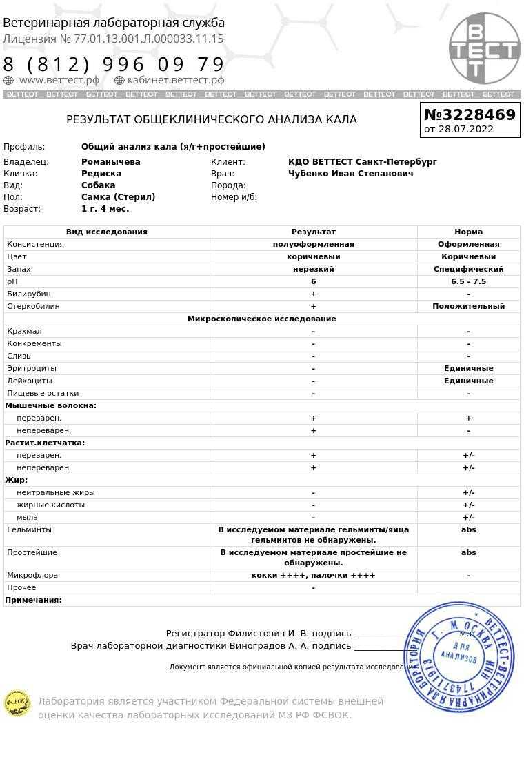 Анализ кала у собак: как сдать общий, на бактерии, простейших, дисбкатериоз, расшифровка результатов - блог о животных - zoo-pet.ru