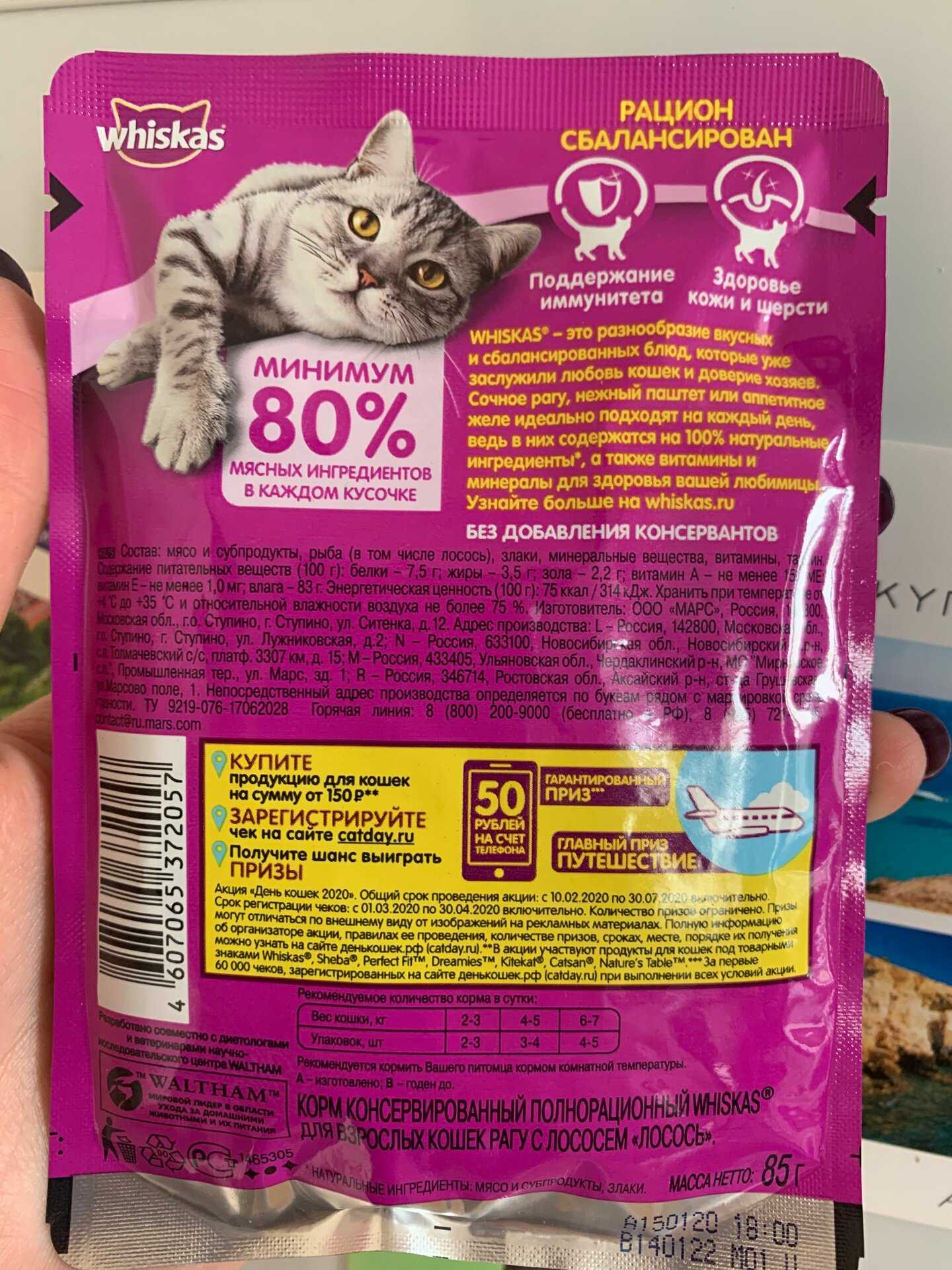 Вискас для котят: подробный обзор линейки кормов для самых маленьких