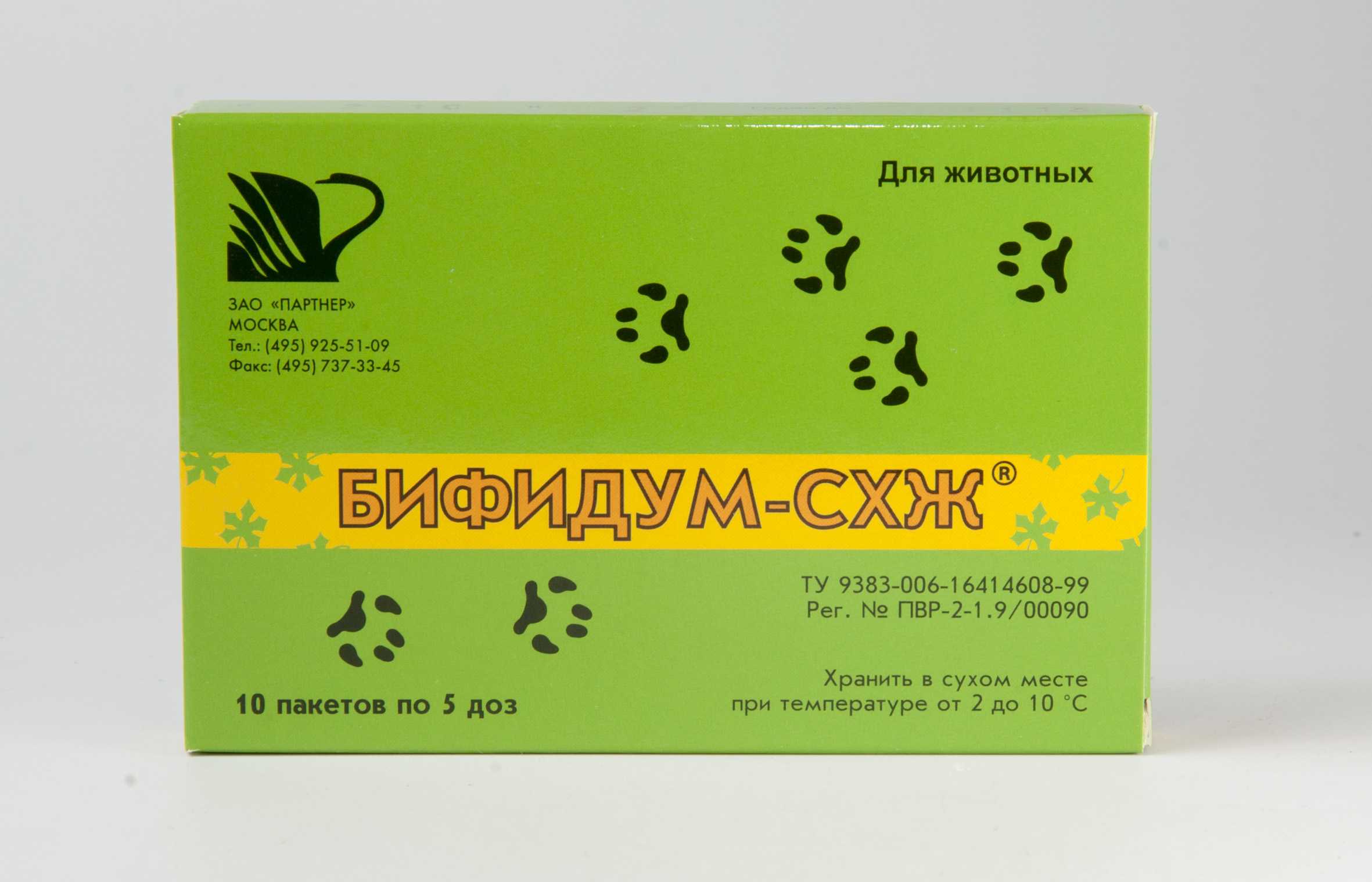 Дисбактериоз у кошек – описание, симптомы, лечение, профилактика
