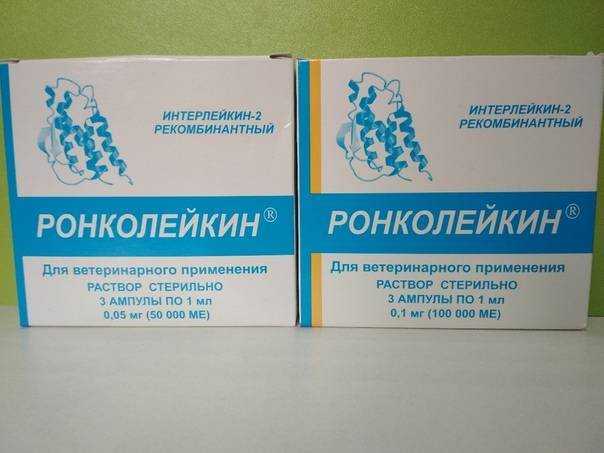 Инструкция по применению ронколейкина в ветеринарии для лечения кошек: дозировка и схема терапии