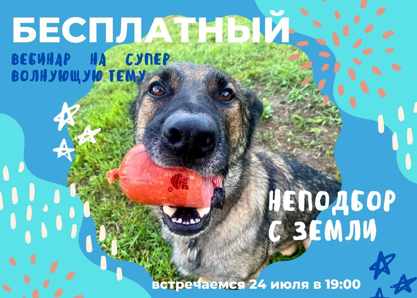 Как отучить собаку подбирать еду на улице