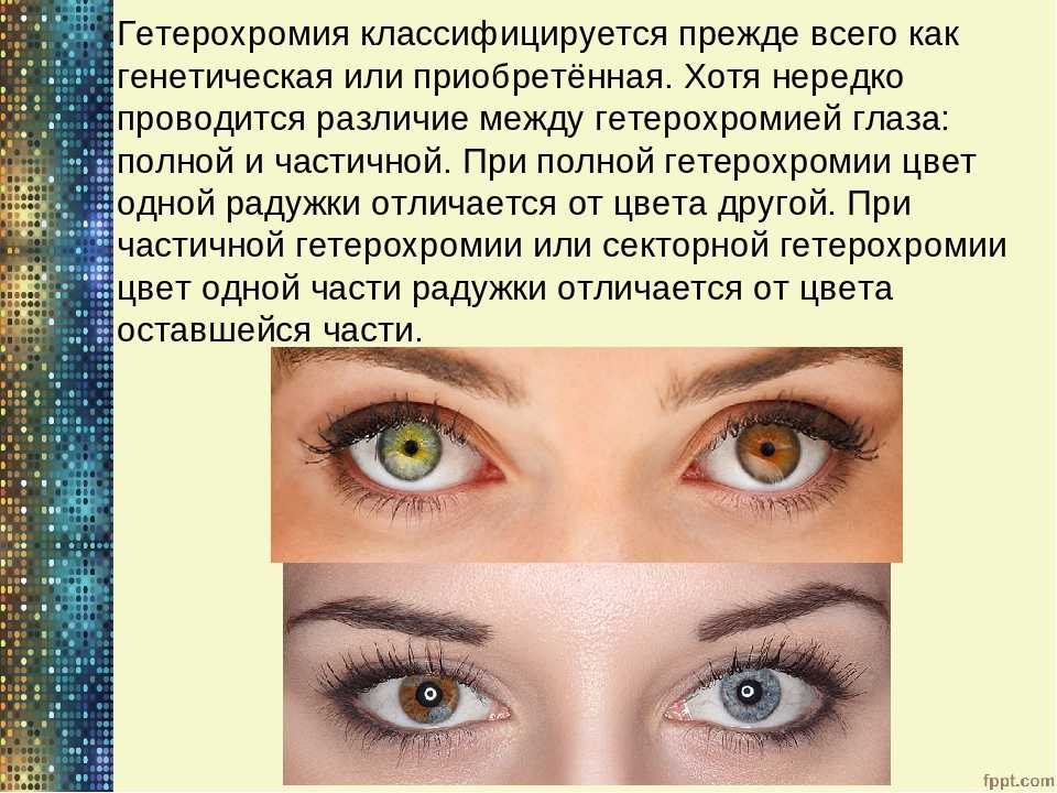 Во сколько месяцев у котят меняется цвет глаз