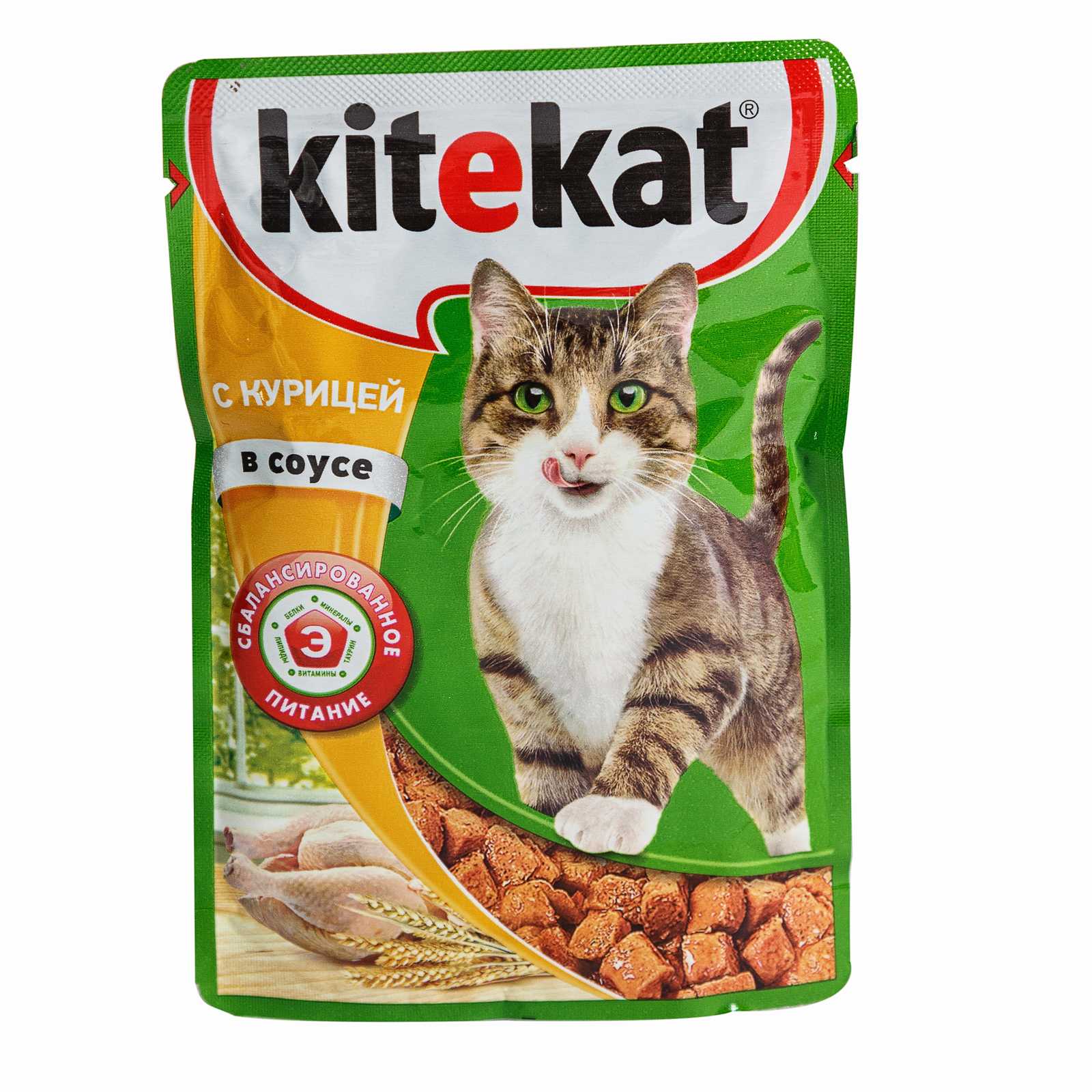 Рейтинг влажных кормов для котят в 2019 году