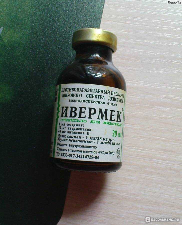 Эффект ивермека в борьбе с паразитами у кошек: инструкция +видео