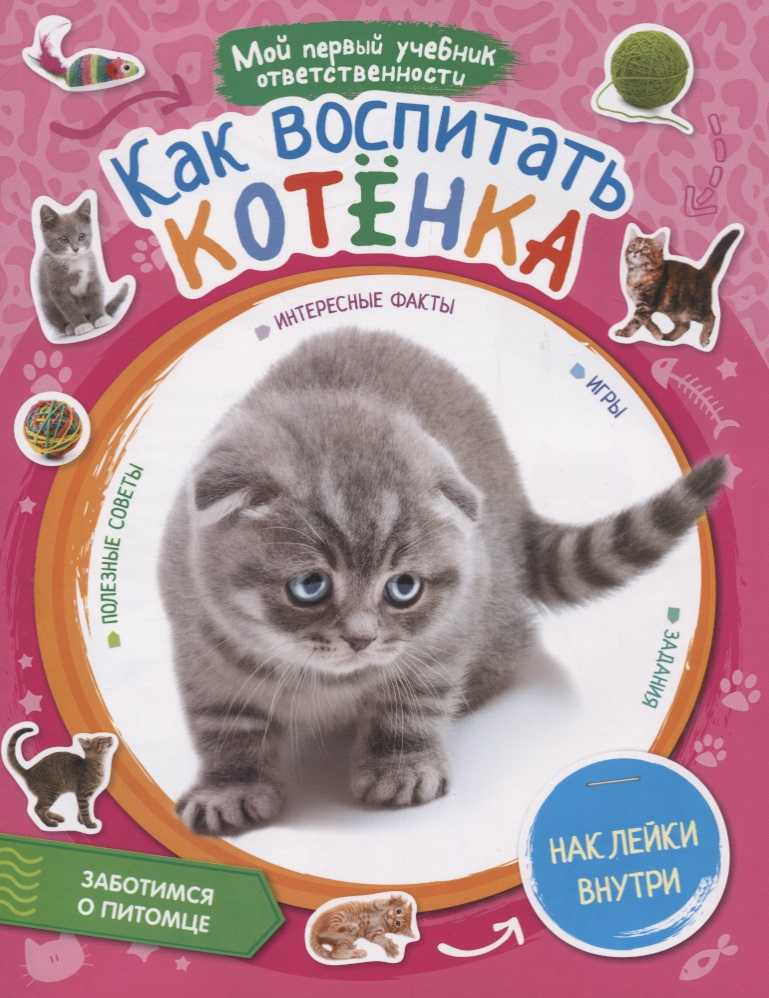 Как правильно воспитывать котенка - советы и правила