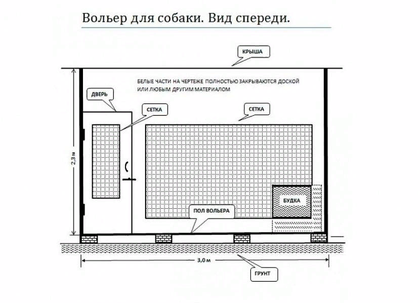 Разведение собак на продажу: основы, правила, есть ли выгода?