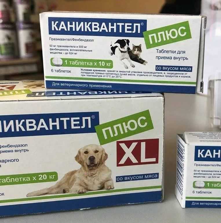 Каниквантел