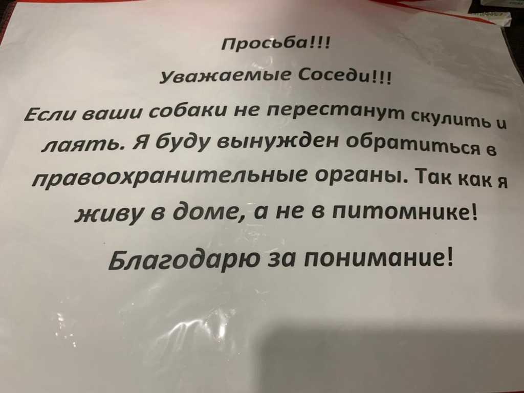 Специалист назвал 7 причин, почему собака скулит