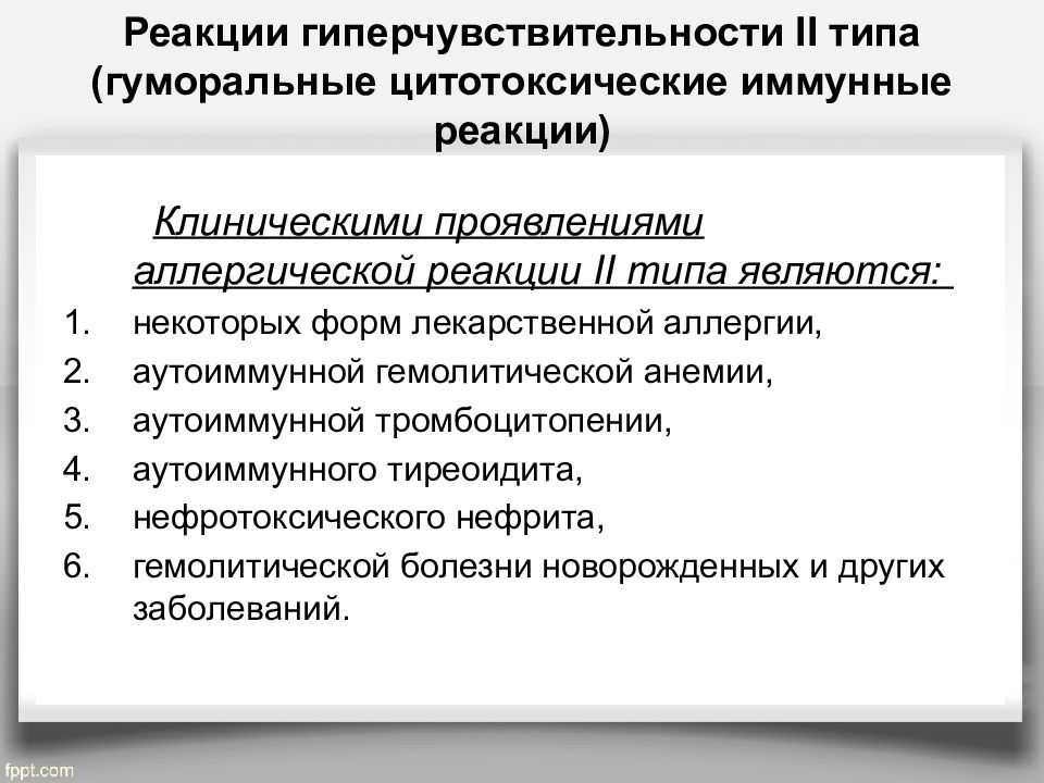 Тромбоцитопения у собак и кошек: признаки, диагностика, лечение