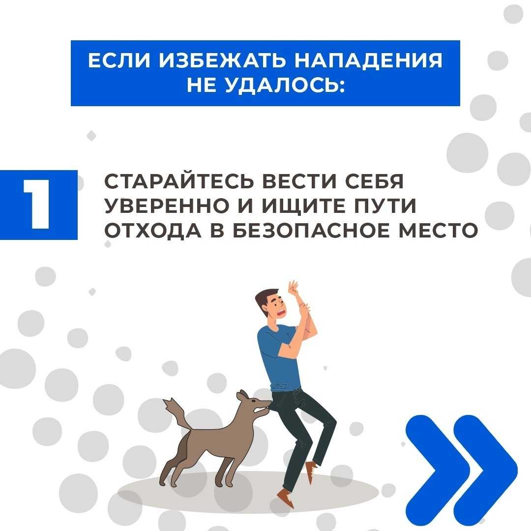 Гиперактивность собак: возможные причины