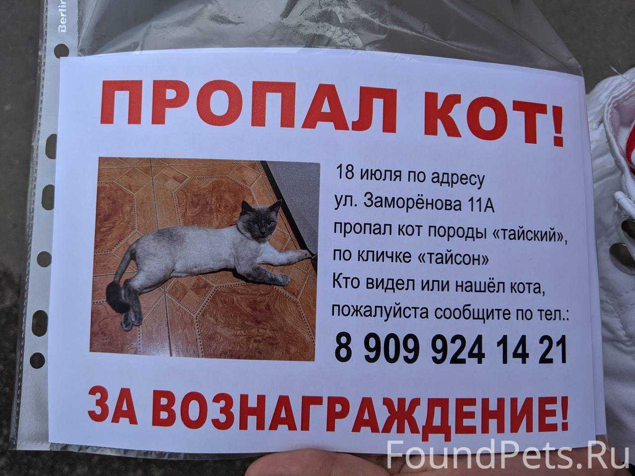 Владельцу важно знать что надо делать если его питомец потерялся Применяемые инновационные технологии позволяют создать информационное сообщество для владельцев животных и различных учреждений связанных с поиском собак