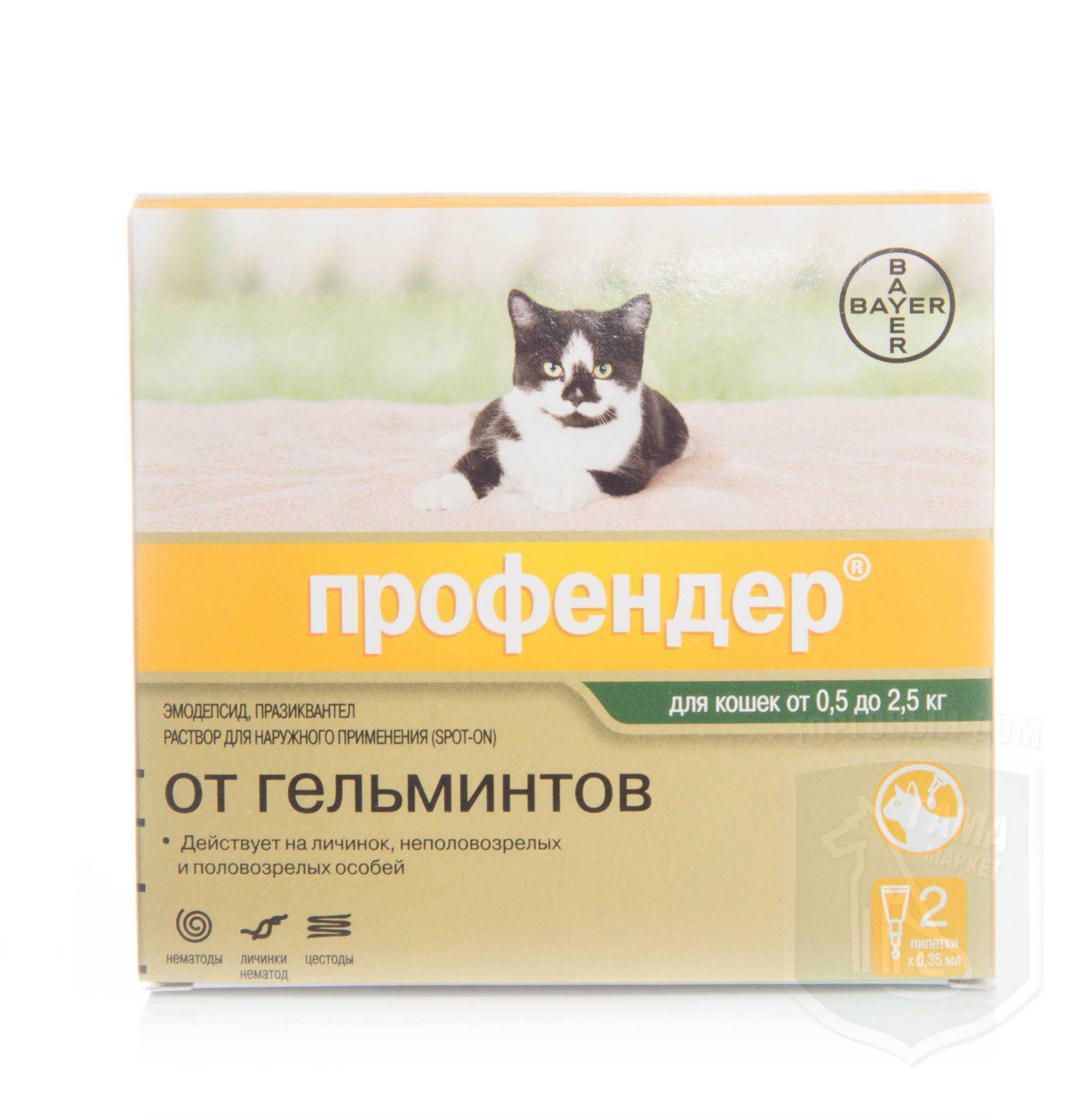 Профендер для кошек: инструкция по применению