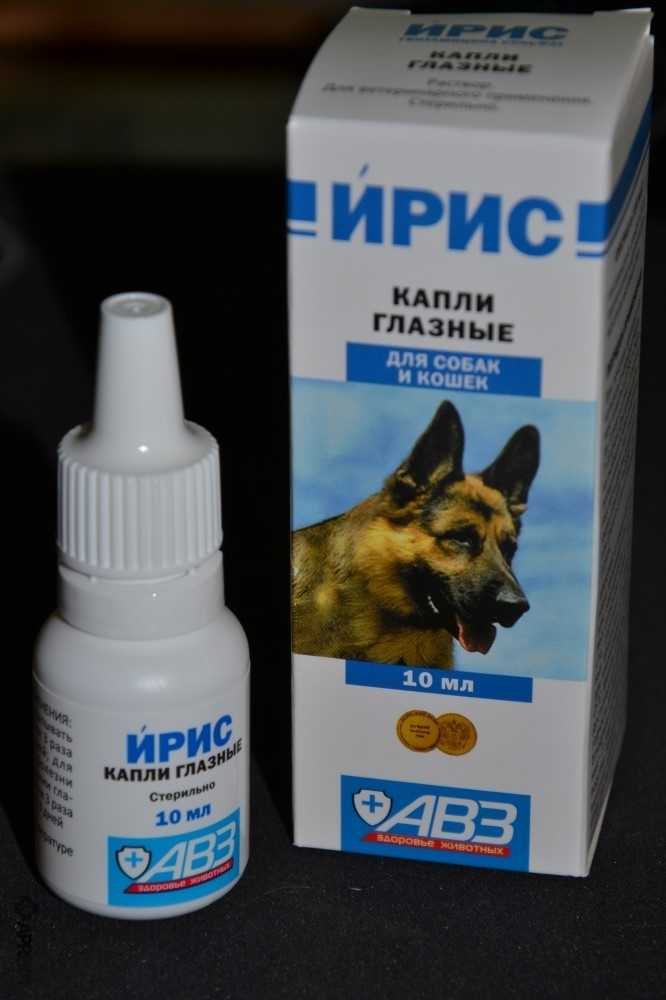 Офтальмоферон коту можно ли капать в глаза