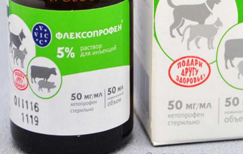 Флексопрофен для кошек: показания и инструкция по применению, аналоги