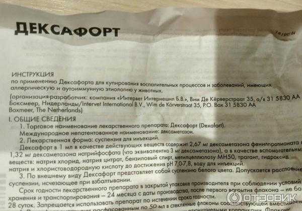 Дексафорт для кошек: инструкция по применению в ветеринарии, отзывы