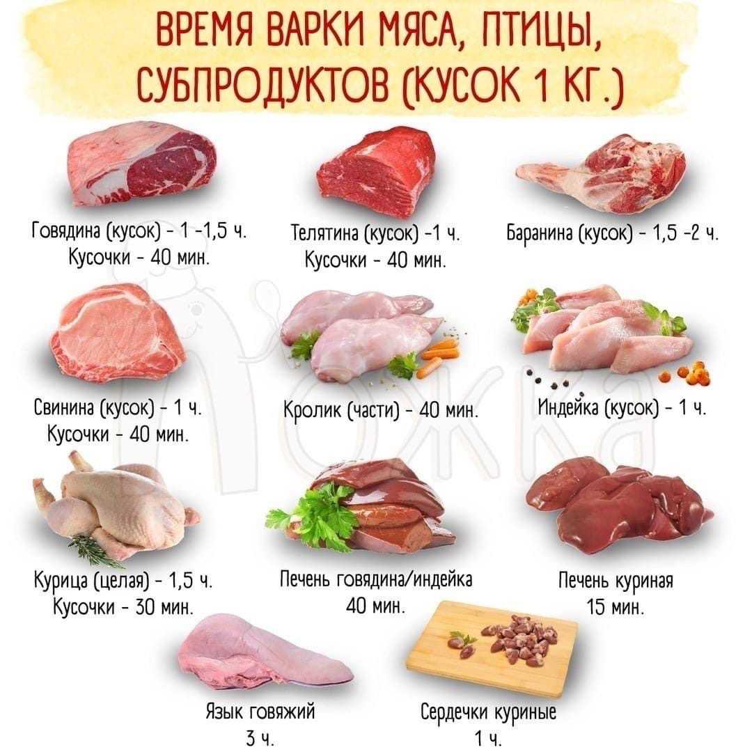 Мясо собакам: можно ли давать и какое, правила и нормы кормления