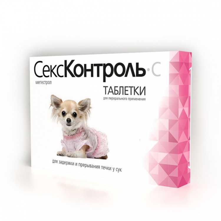 Течка у кошек: сколько длится и как успокоить. возраст наступления половой зрелости, признаки и периодичность течки
