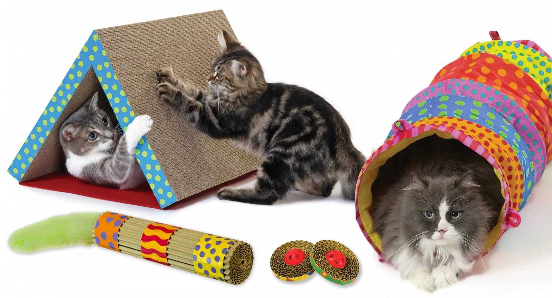 Игрушки для кошки — чем порадовать своего любимца