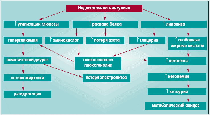 Диабет у кошек