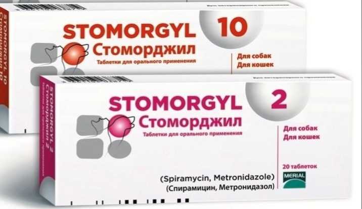 Стоморджил для кошек: инструкция по применению