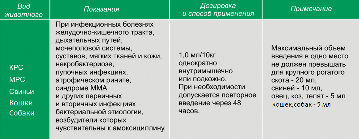 Амоксициллин для кошек | инструкция по применению амоксициллина у кошек