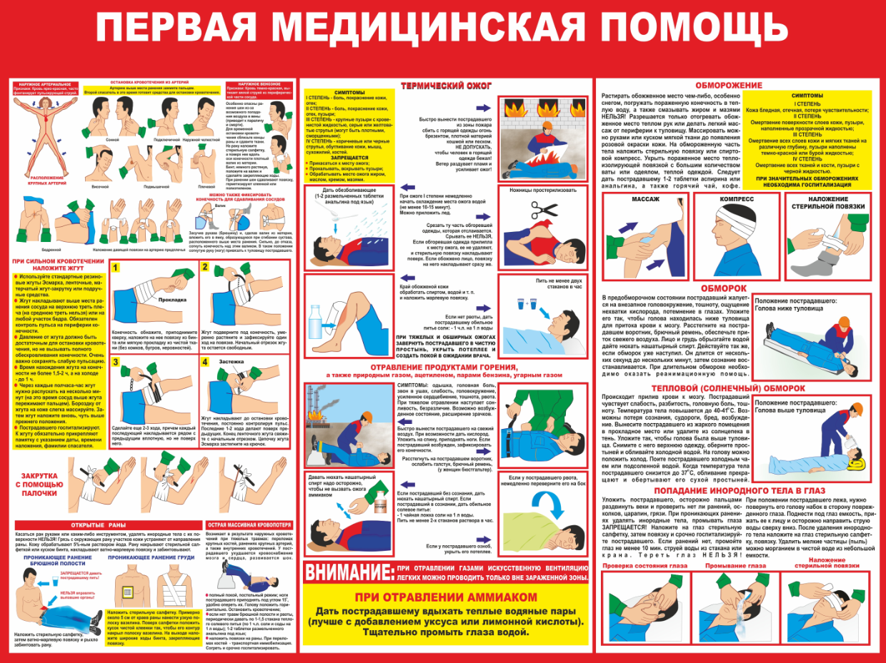 Ожог у кошки: виды и лечение