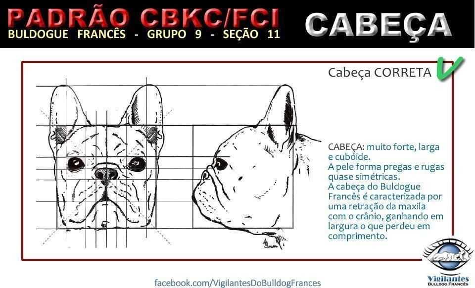 Французский бульдог: стандарт породы, содержание и уход, здоровье (+ фото и видео) | ваши питомцы
