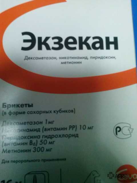 Название сыворотки от чумки для кошек — сложные вопросы простые ответы