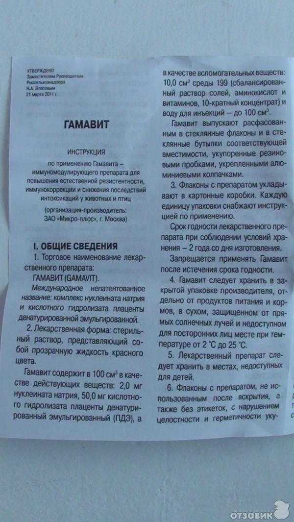 Гамавит отзывы ветеринара
