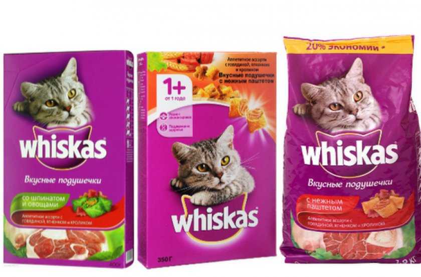 Подробный обзор влажных и сухих кормов whiskas для котят и взрослых котов