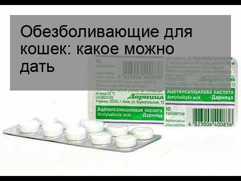 Препараты для анестезии у мелких домашних животных