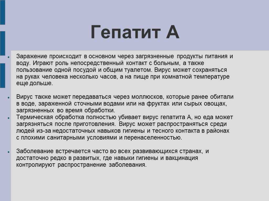 Гепатит у собак: причины, признаки, диагностика и терапия
