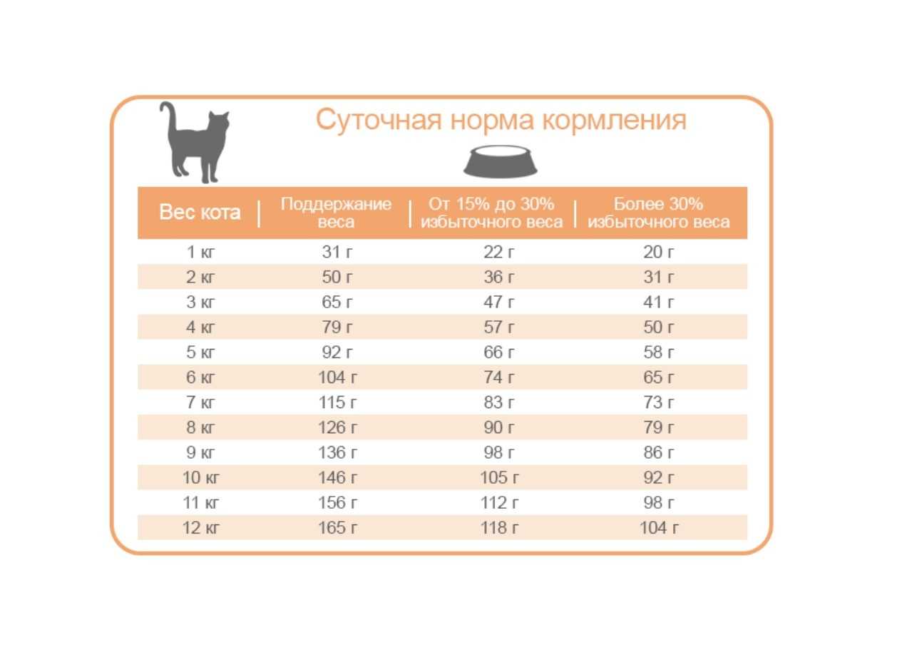 Сколько сухого или влажного корма нужно давать кошке в день: расчет суточной порции, физиологические особенности кошки, когда следует убавить или прибавить еды